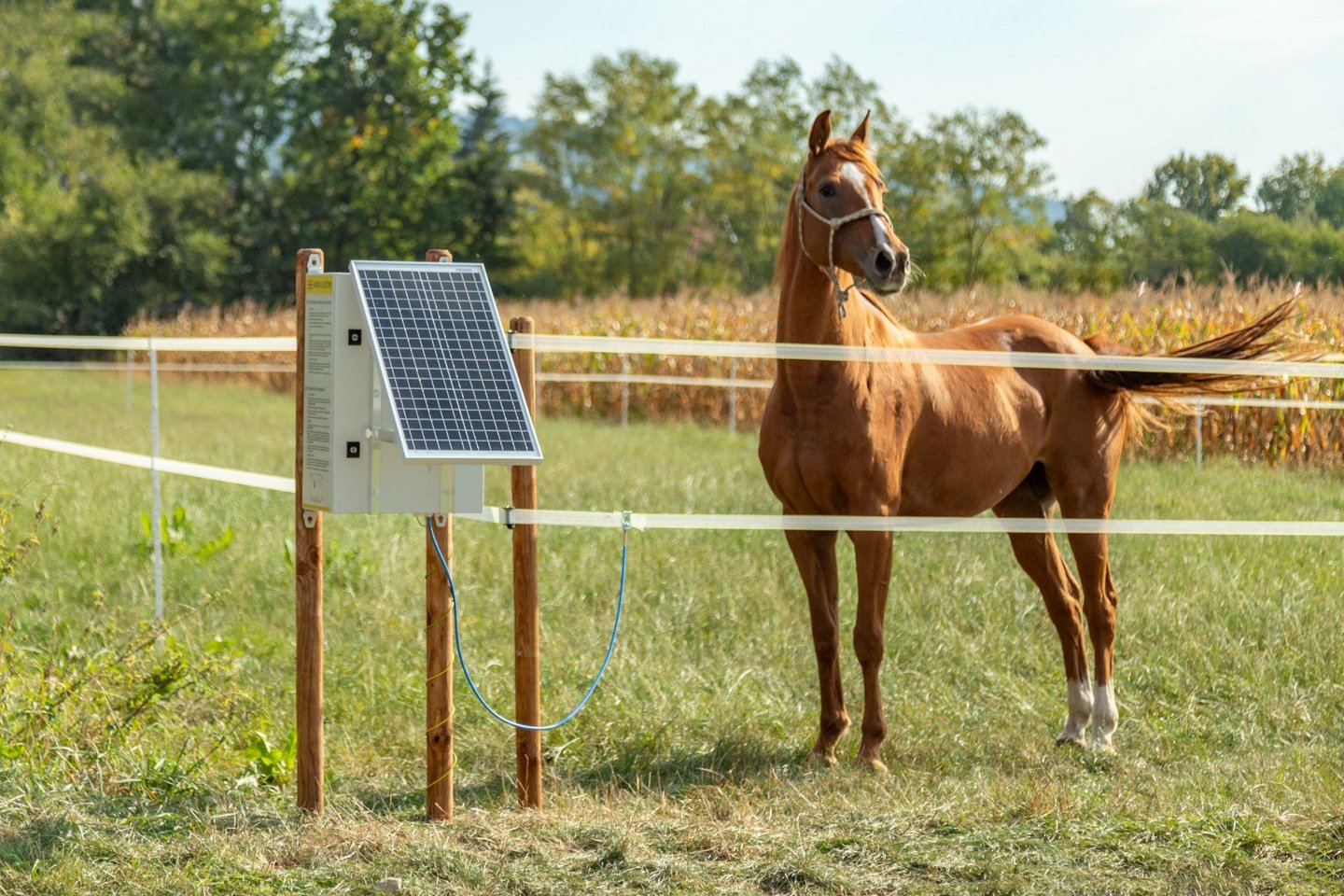 За фирма Agro Electro